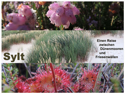 Dueroli-Studios, Sylt Vortrag, Dr. O. D&uuml;rhammer